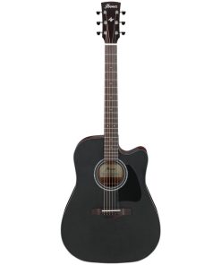 Ibanez AW247CE-WKH