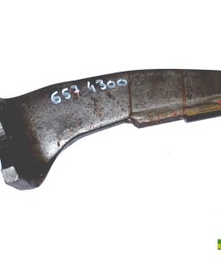 Zinken Amazone   Aufnahme 37 mm