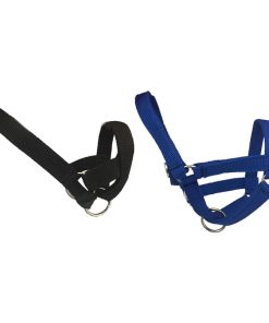 Halfter für Lama und Alpaka