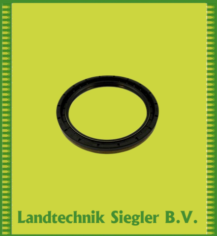 Vogelsang / Wellendichtring